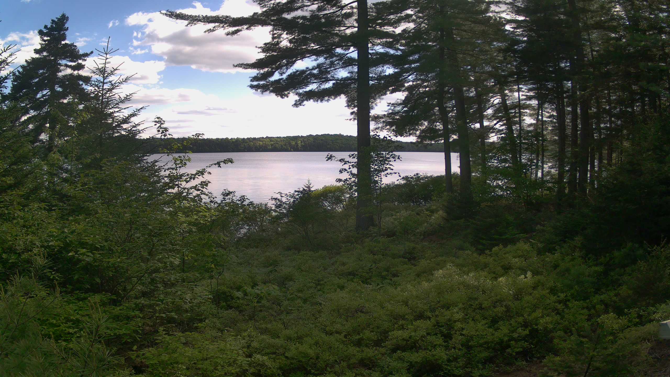 Hoel Pond Webcam view - Click on photo for HD.